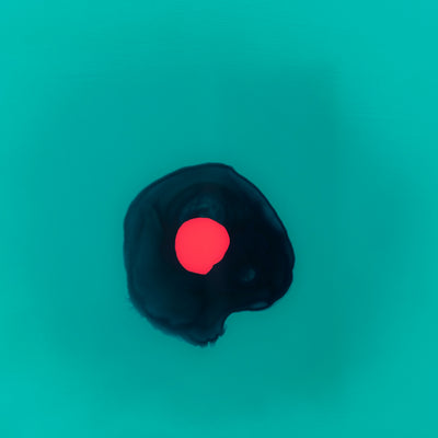 Cleo - Original 3D Artwork by Jen Sievers